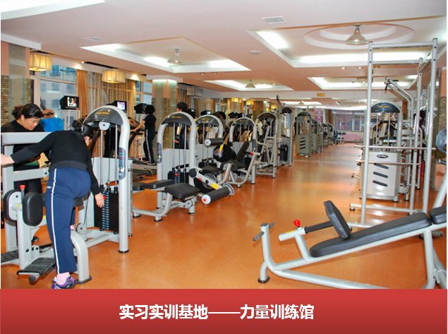 教师登录